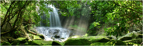 www.justclean.theultimatecloth.com EcoFriendly Solutions